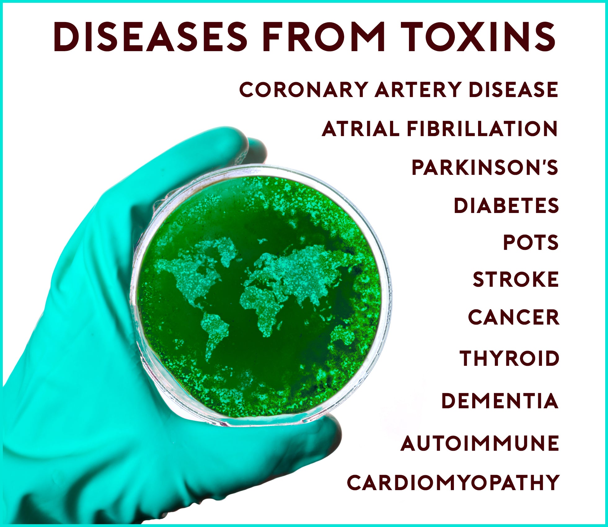Diseases from Toxins