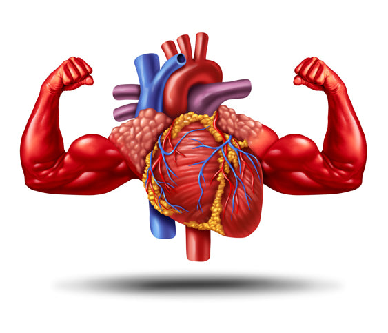 strong heart flexing muscles