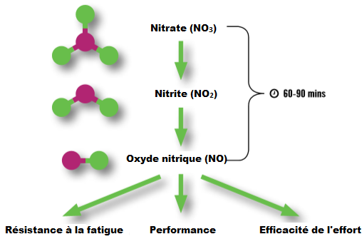 Transformation du nitrate