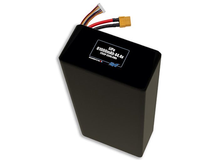 LiPo 81000mAh 12S3P 44.4v Battery Pack