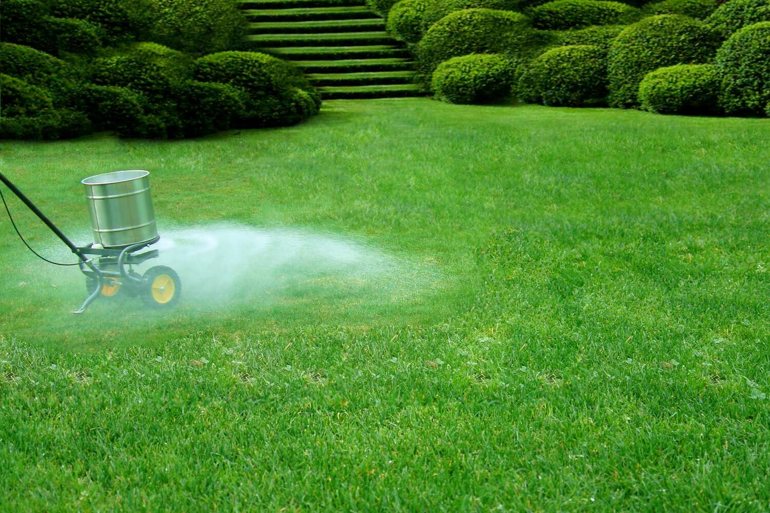 when to fertilize lawn in nc 3