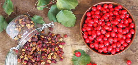 Cranberry Benefits
