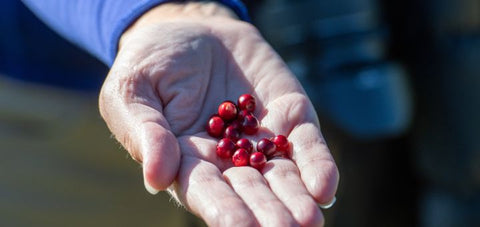 Cranberry Benefits for Skin