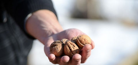 Walnuts for Men