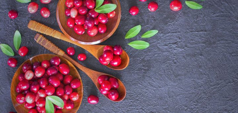 Uses of Cranberry 