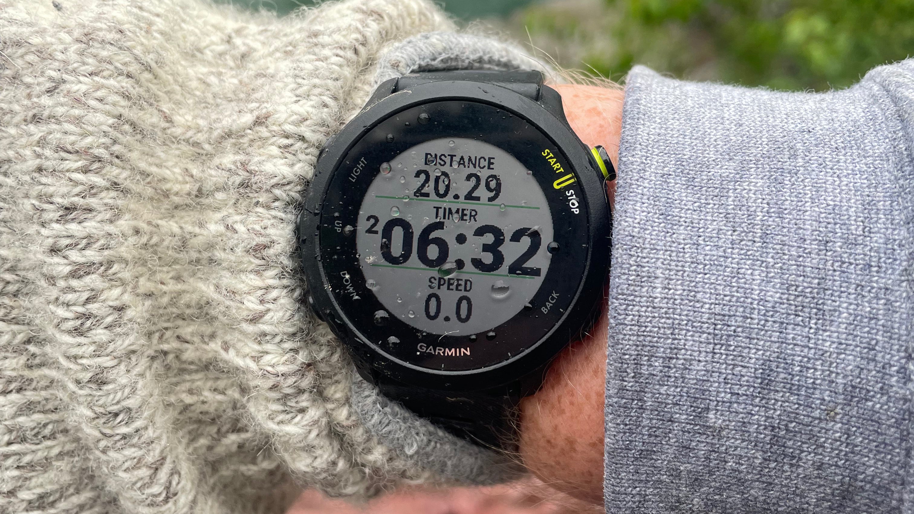 Garmin Forerunner 55