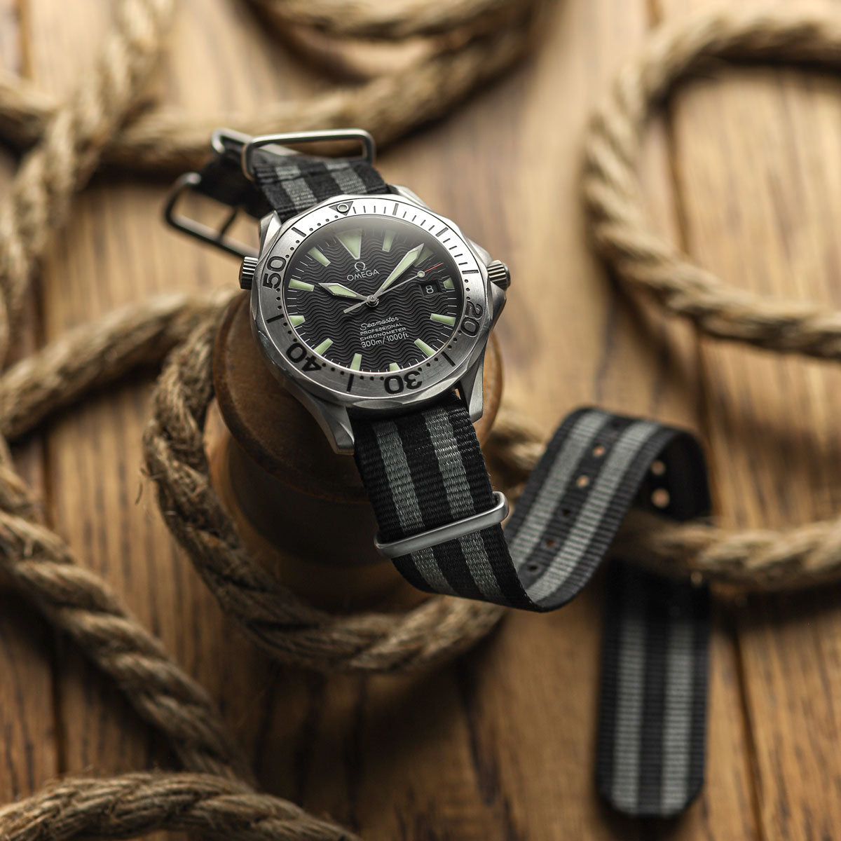 Titanium Omega Seamaster