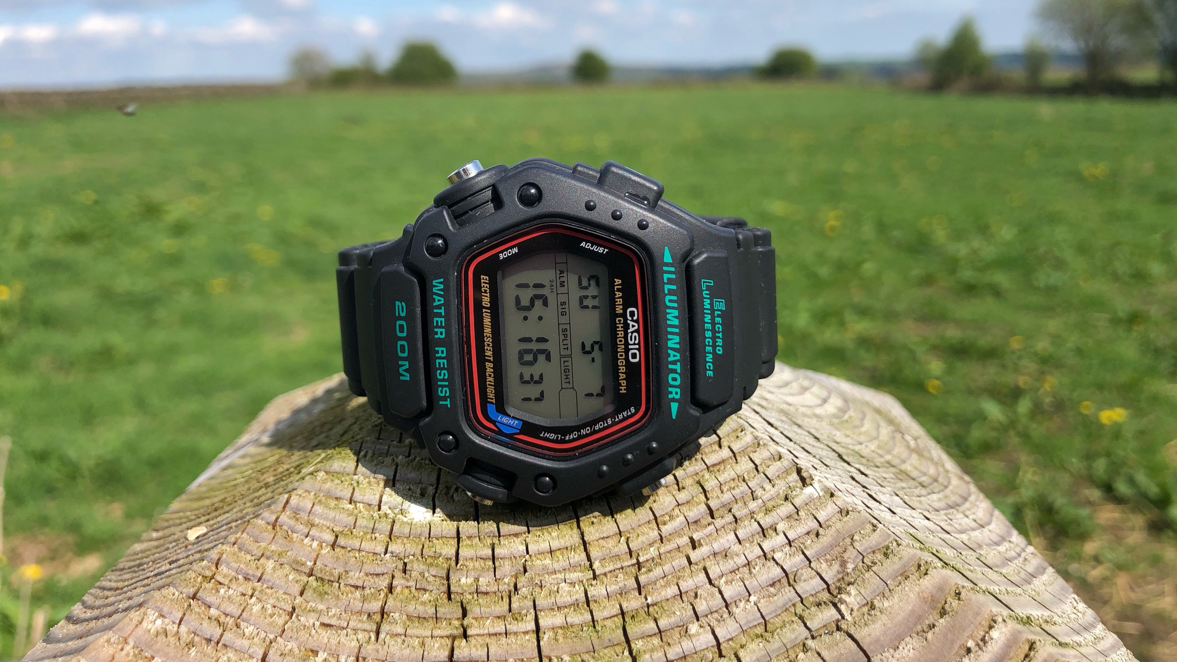 Casio DW290