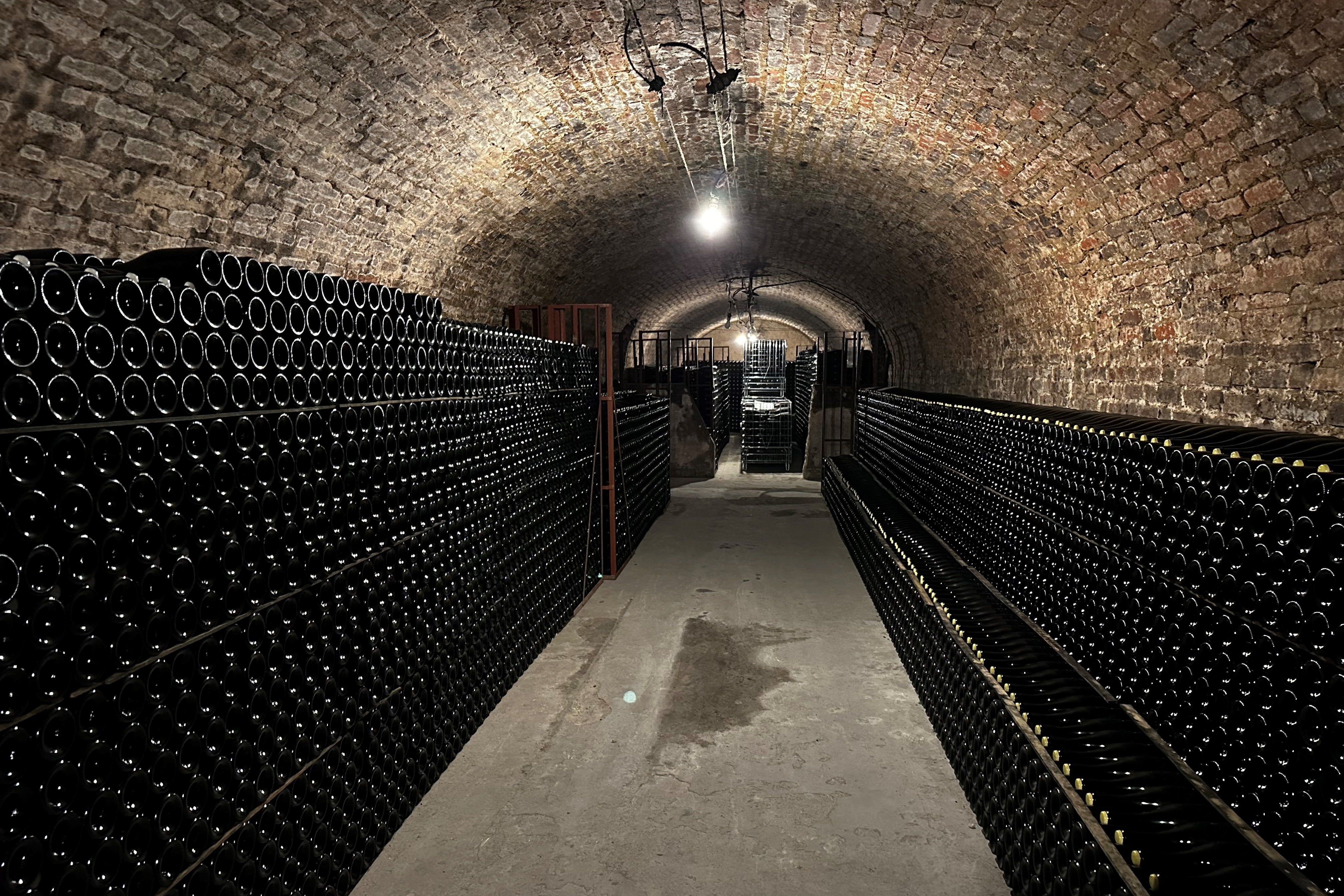 French wine cellar