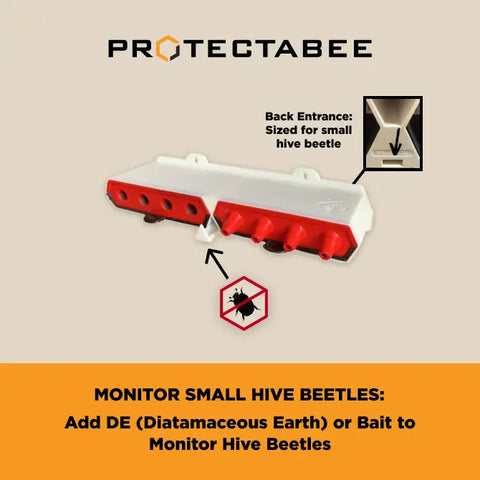 monitor small hive beetles