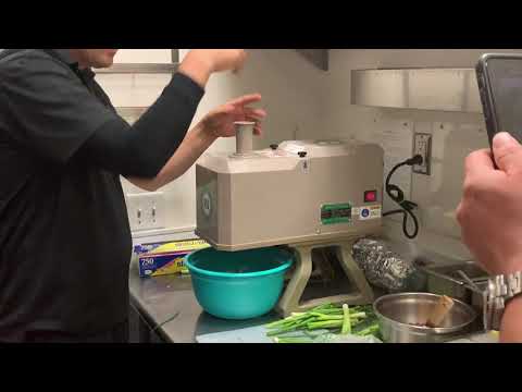 DX-50B Desktop green onion machine