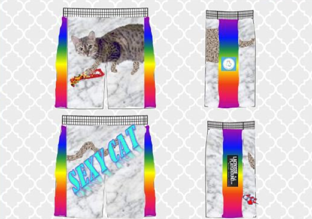 sexy cat