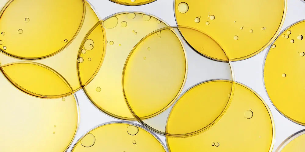 Multiple sample dishes filled with light yellow compressor oil