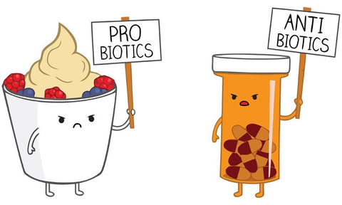 probiotics and antibiotics