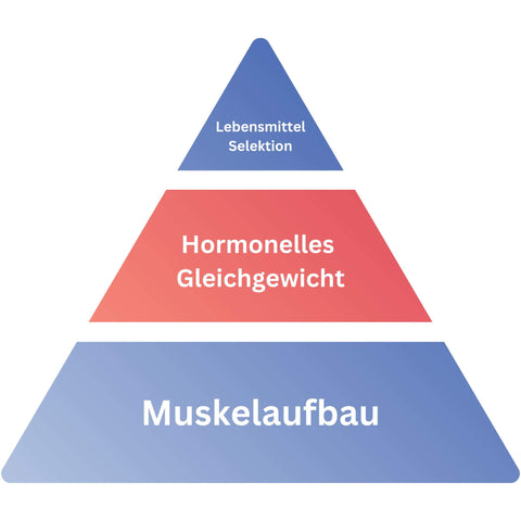Gymbodiez Ernährungspyramide. Das zweite Stufe "Hormonelles Gleichgewicht" ist hiebrei rot markiert um visuell zu zeigen, dass gerade dieses Thema besprochen wird
