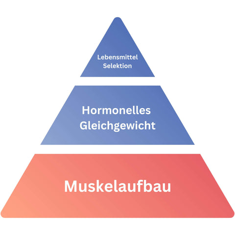 Gymbodiez Ernährungspyramide. Das Fundament "Muskelaufbau" ist hiebrei rot markiert um visuell zu zeigen, dass gerade dieses Thema besprochen wird