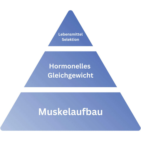 Gymbodiez Ernährungspyramide welche als Fundament mit den Grundlagen des Muskelaufbaus beginnt und anschließend Themen wir Hormone und Nahrungsmittelunverträglichkeiten behandelt