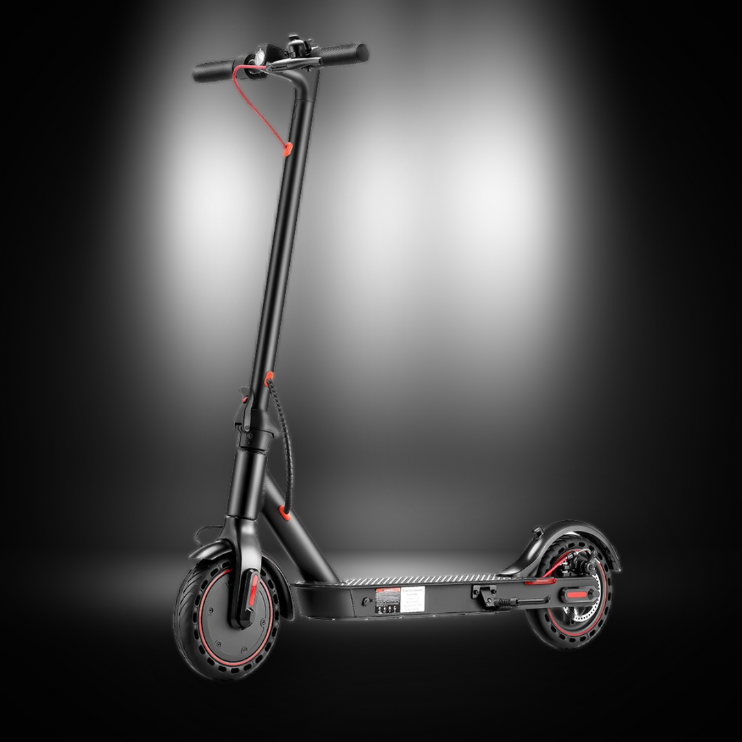 E-Scooter Segway NINEBOT KICKSCOOTER MAX G30D II, Bike Stadl