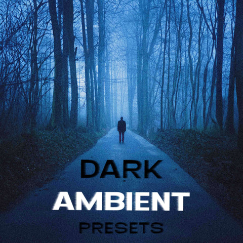 A silhouetted person stands on a road in a dark, blue-toned forest. Text reads "dark ambient presets" in a bold font.
