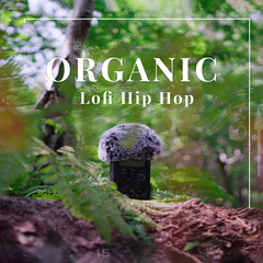 A microphone stands amongst forest foliage, with the words "organic lofi hip hop" above.