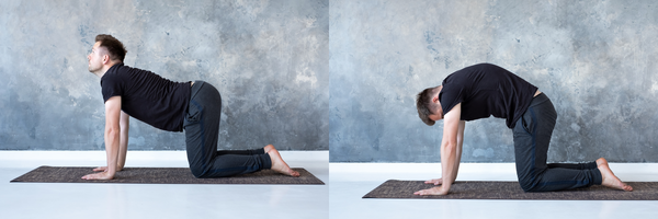 Man performing cat cow yoga pose for improved posture