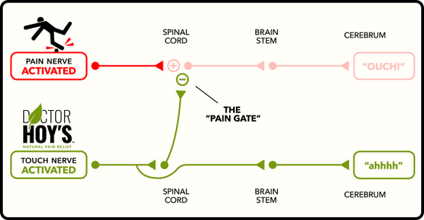 Diagram showing how Doctor Hoy’s closes the pain gate at the spinal cord