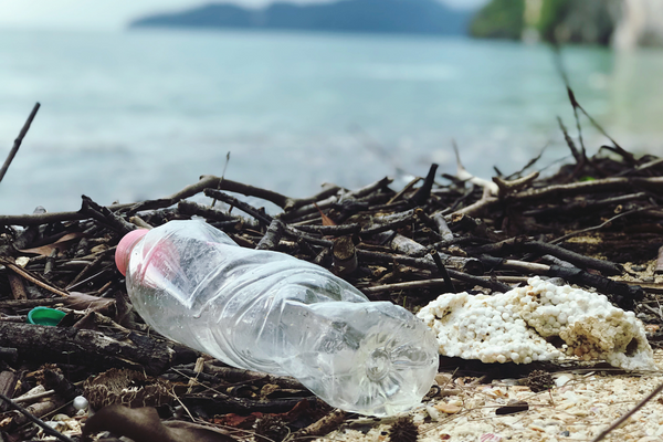 Plastic water bottle washed up on beach