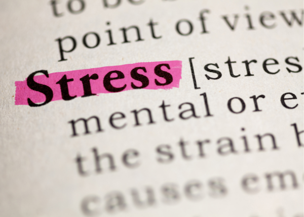 The term stress highlighted in a dictionary