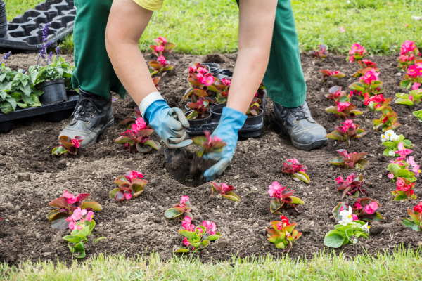 Person gardening while wearing gloves, pants, and boots