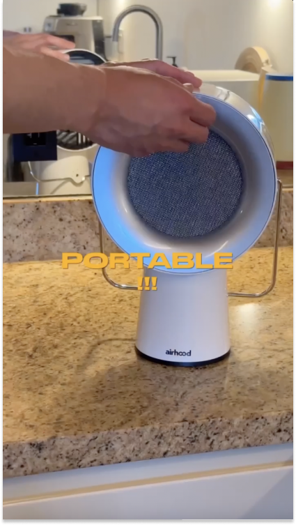 Airhood Portable Kitchen Air Cleaner with Activated Charcoal