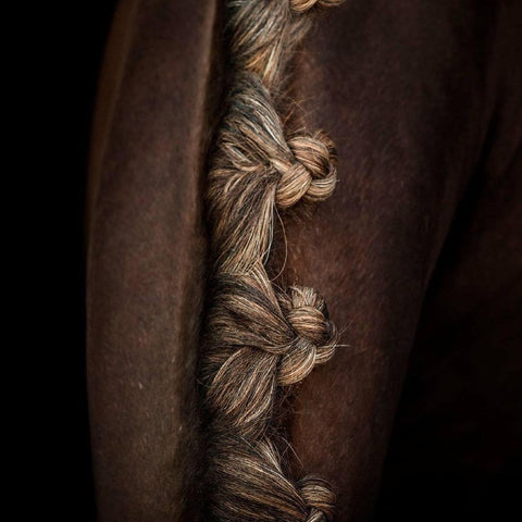 Horse braids