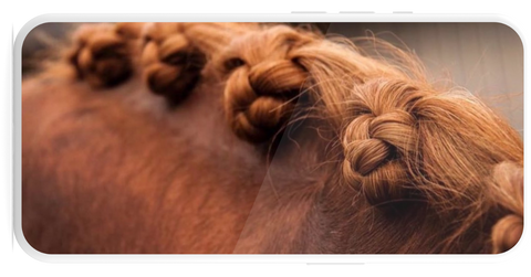 Horse braiding results