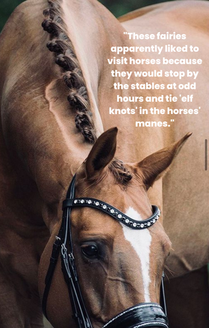 Horse Braiding 'Elf Knots'