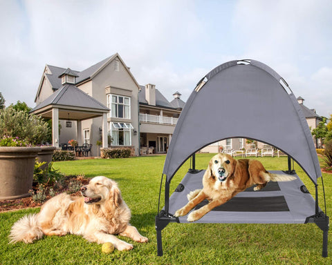 Dog laying on PawfectPals Pet Bed and Tent