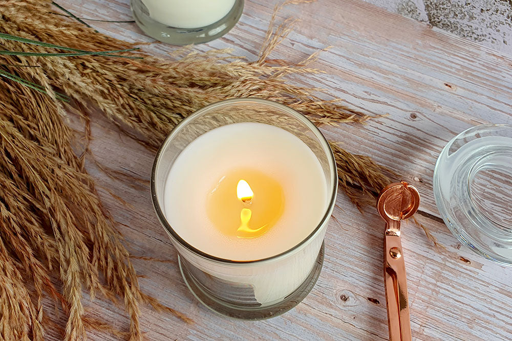 Citronella Candles for Beginners