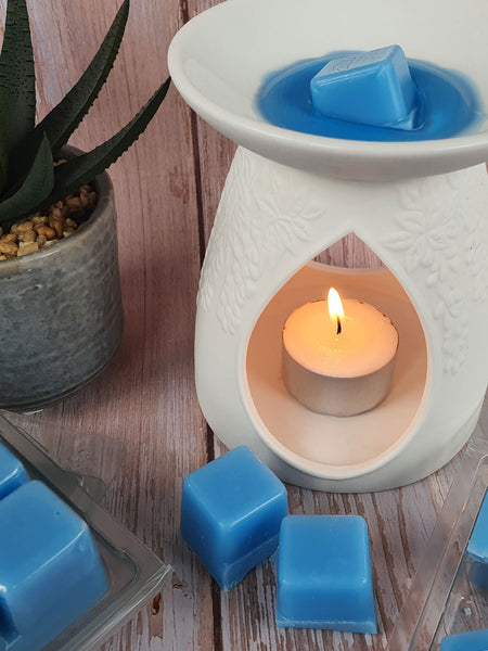 How to Make Wax Melts in Clamshells – Craftovator Ltd