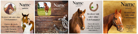 Mehrere Boxenschild Pferd mit Namen, Geburtsdaten, Besitzern und Kontaktdaten.