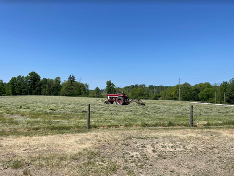 Cutting Hay in Cleveland, OH