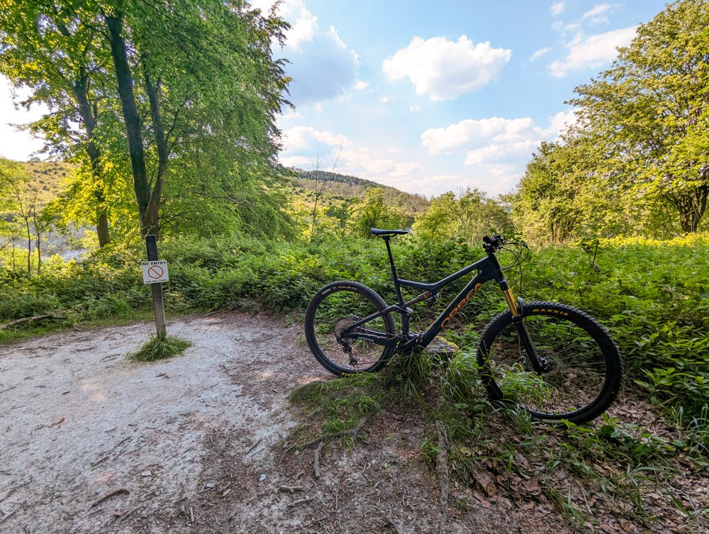 Orbea Rise M10 2022 at Queen Elizabeth Country Park