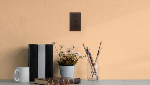 A photograph of the Metro Line aged bronze wallplate on a peach-colored wall above a white countertop and next to books, potted flowers, and paint brushes