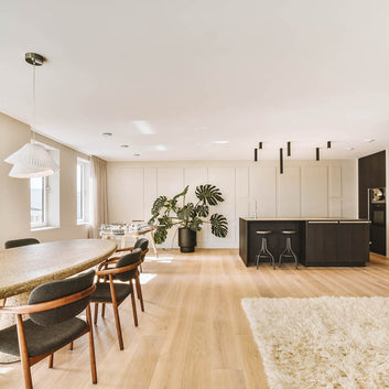 An interior photo of a spacious professionally designed Minimalist decor style kitchen and living room with natural light