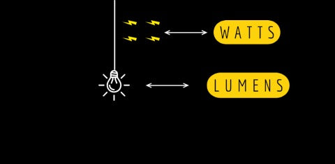 LED Downlights Wattage and Lumens