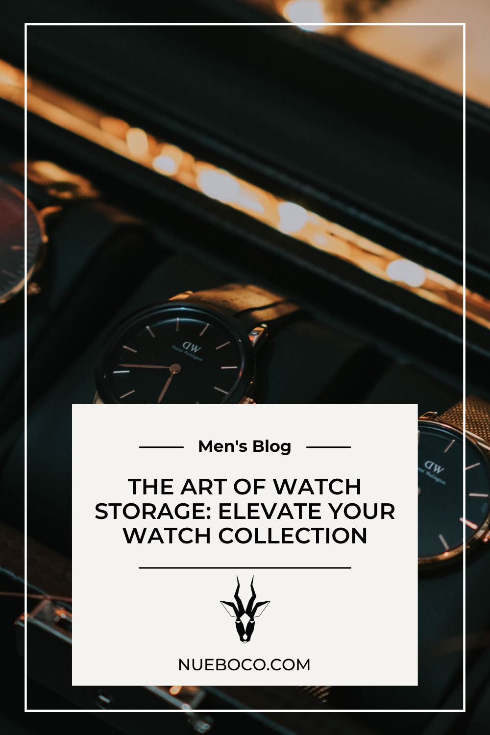 The Art of Watch Storage Elevate Your Watch Collection