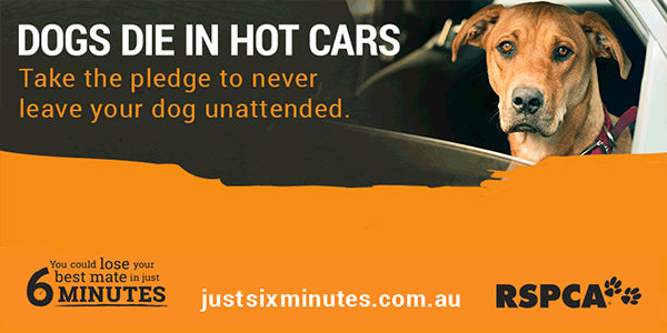 https://www.rspcaqld.org.au/what-we-do/welfare-awareness/companion-animals/dogs-die-in-hot-cars