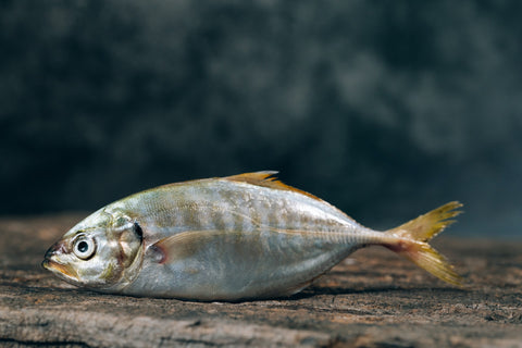a fish upright on a cutting board