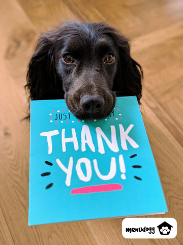 A spaniel holding a thank you card in his nouth