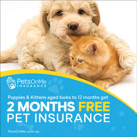 Pets on me pet insurance