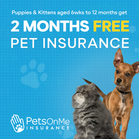 Pets on me pet insurance