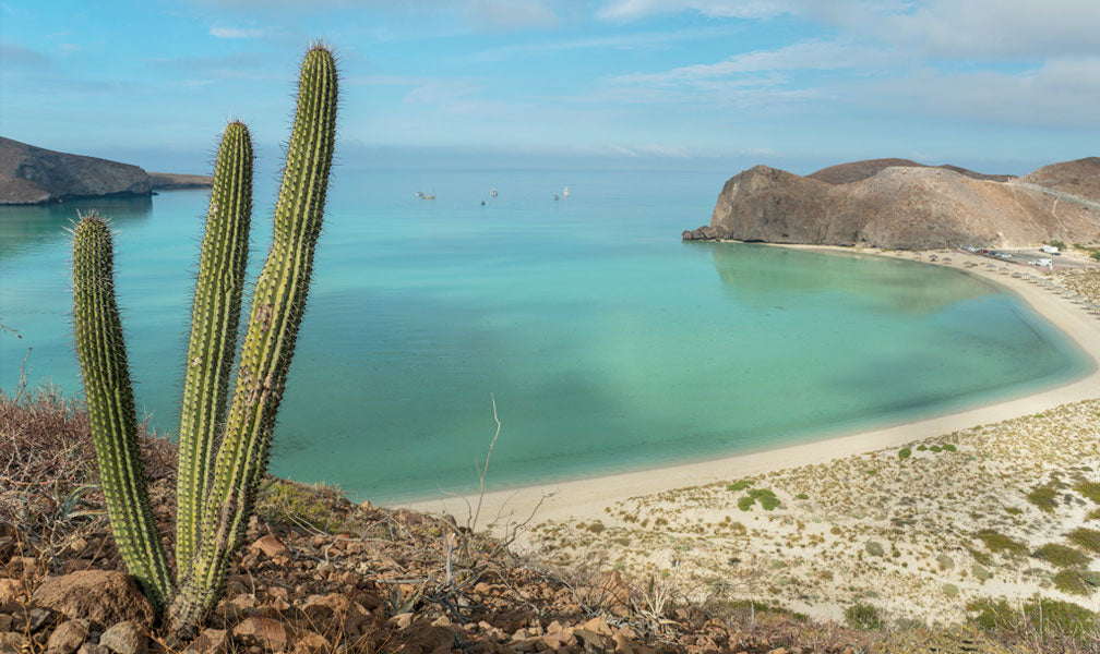 Balandra Beach - La Paz, Mexico - Swoon Swimwear