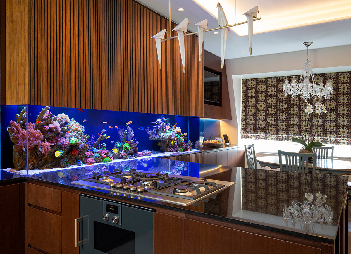 kitchen aquarium
